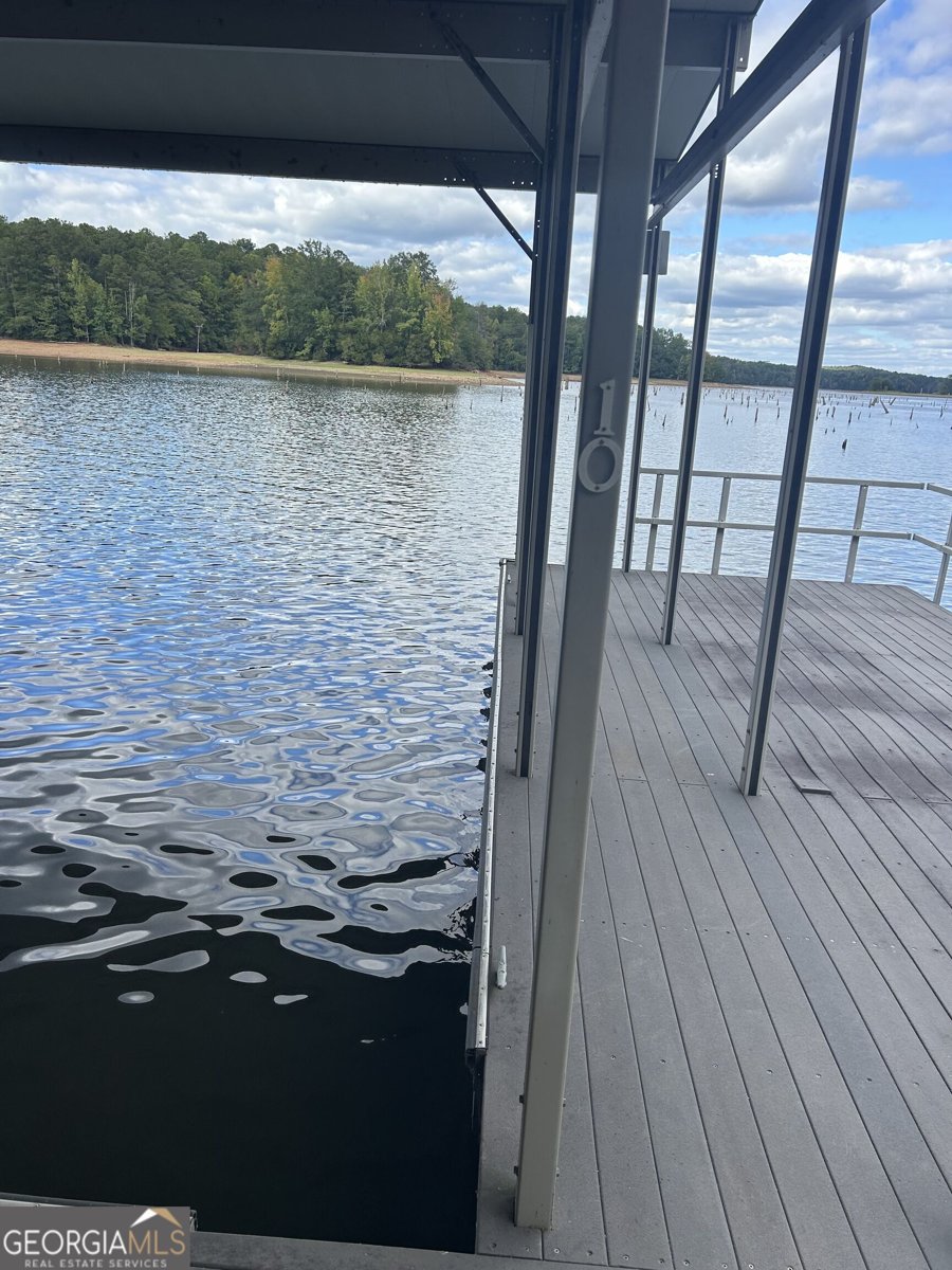 36 Fish Camp Lagrange - Photo 49
