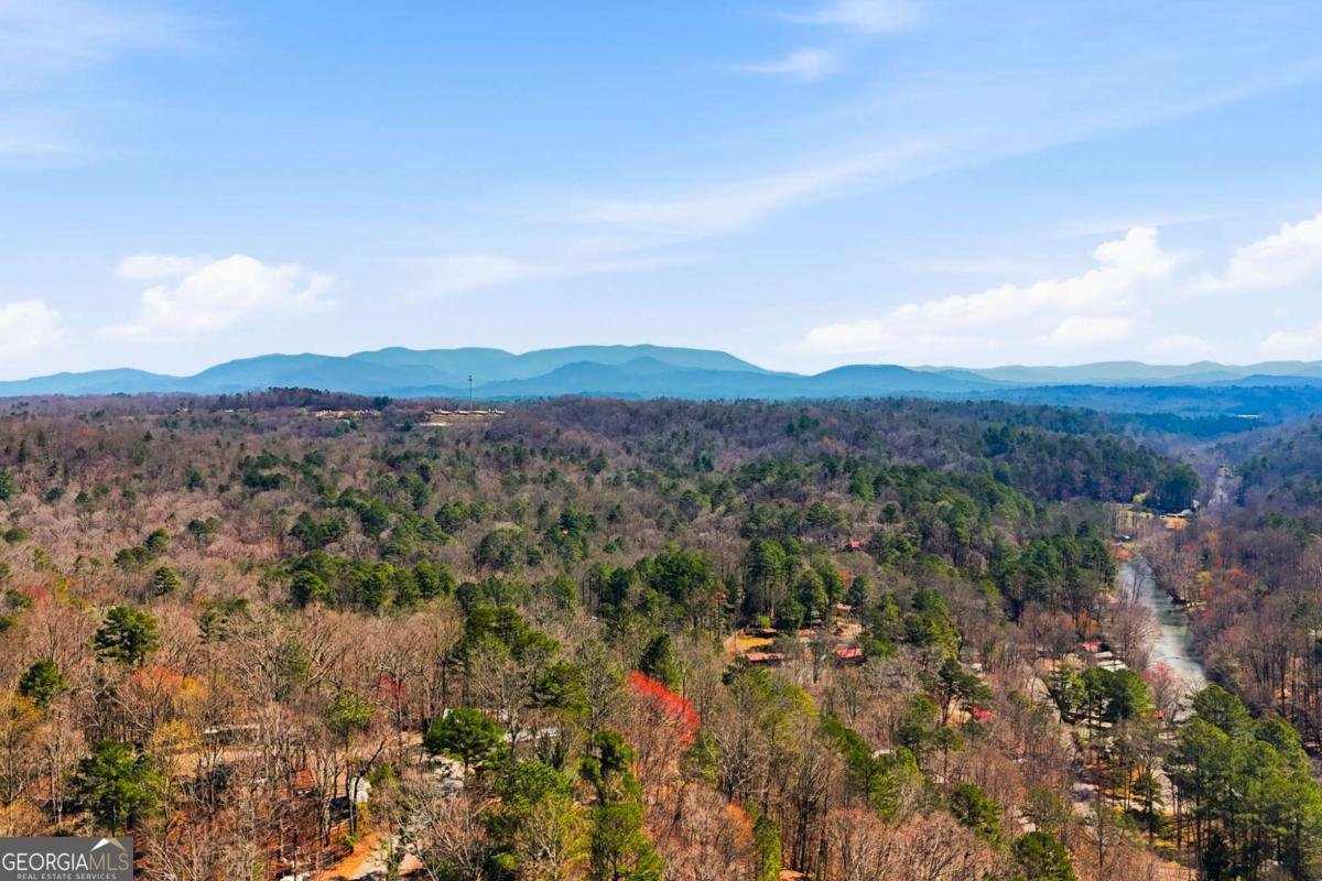 40 9Th Street Ellijay - Photo 33