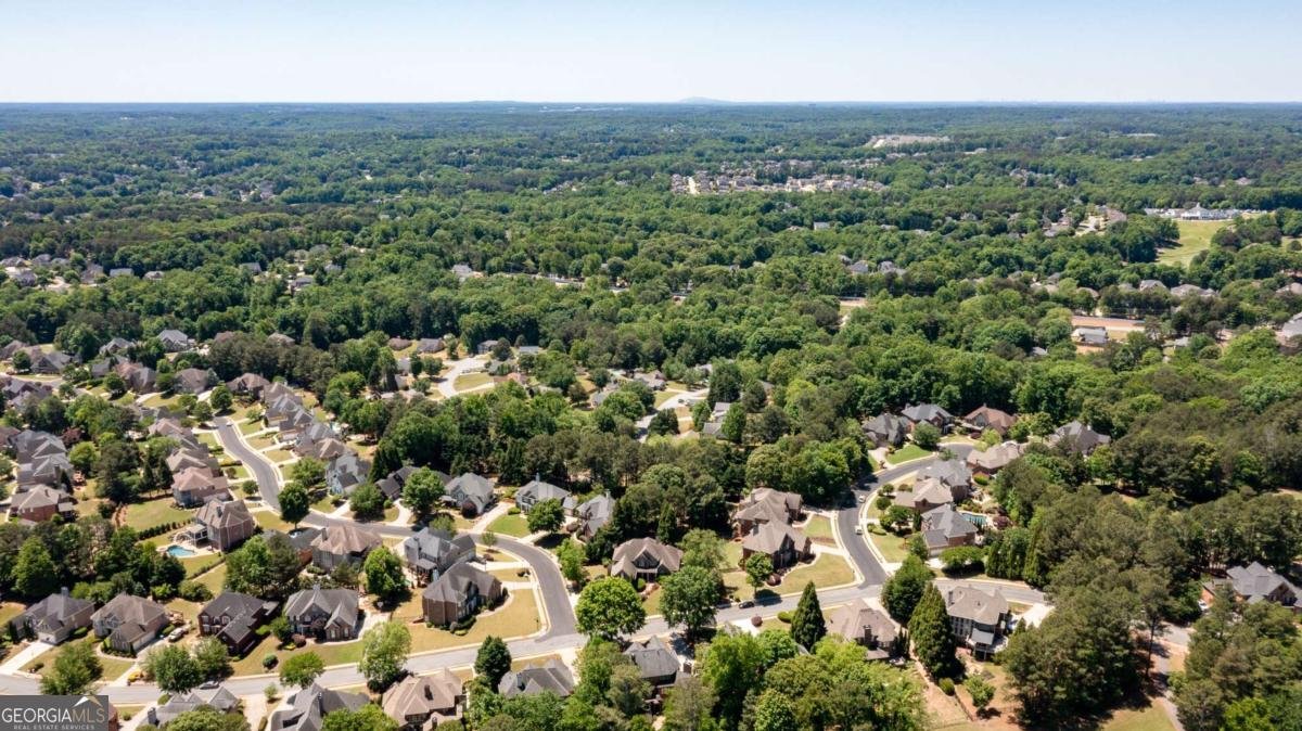 2401 Floral Valley Drive Dacula - Photo 34