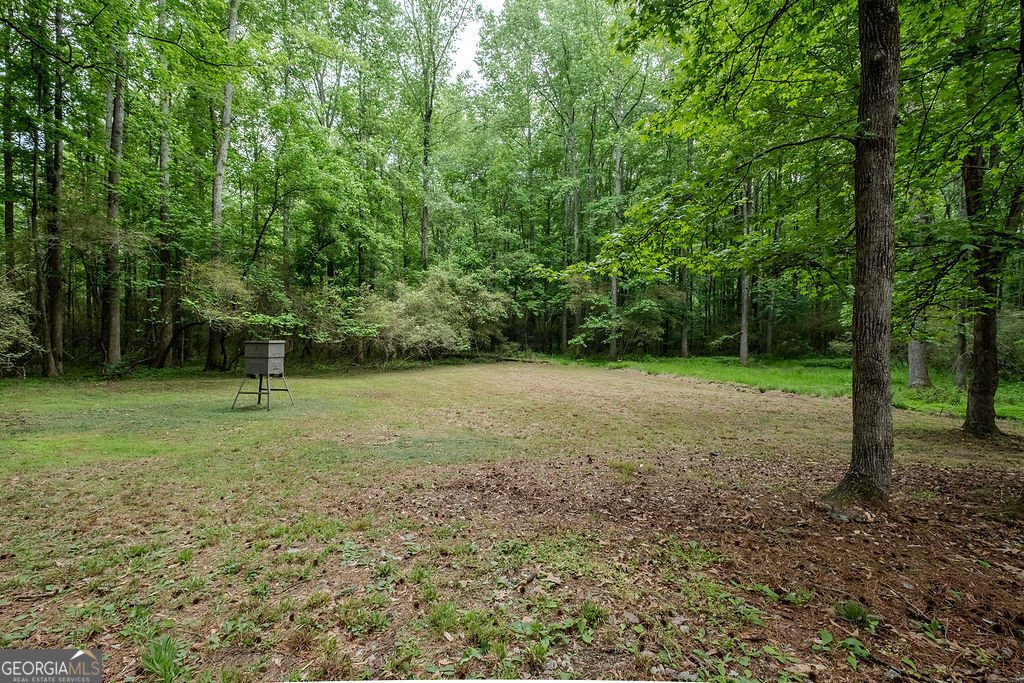129 McDuffie Drive Athens - Photo 28