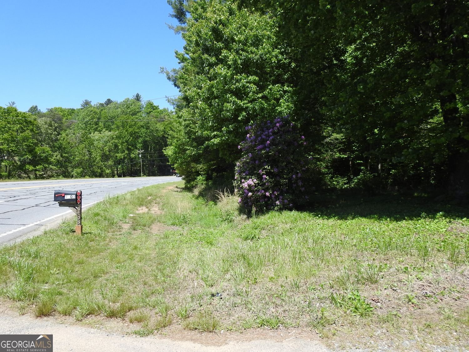 9503 Tails Creek Road Ellijay - Photo 12