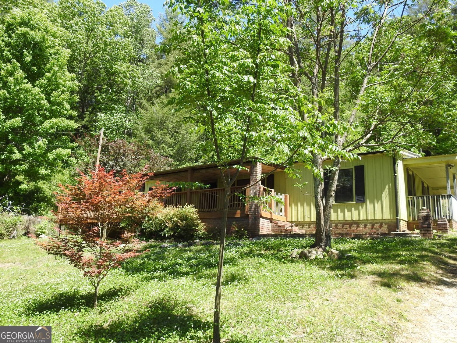 9503 Tails Creek Road Ellijay - Photo 13