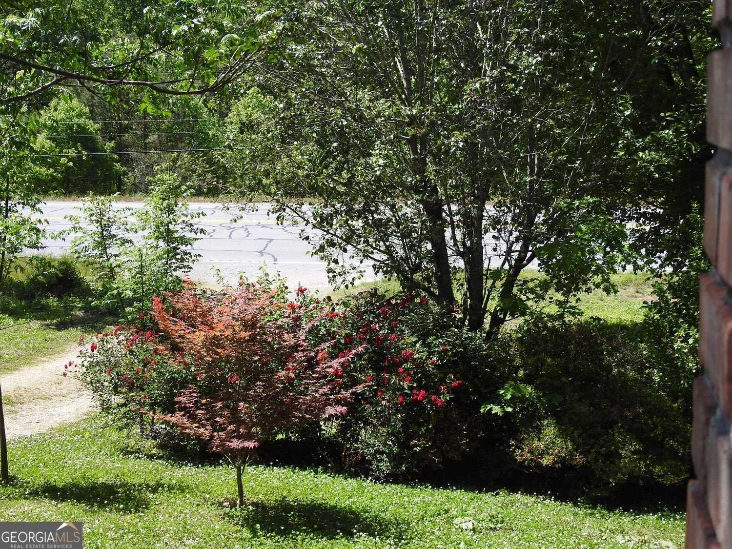 9503 Tails Creek Road Ellijay - Photo 14