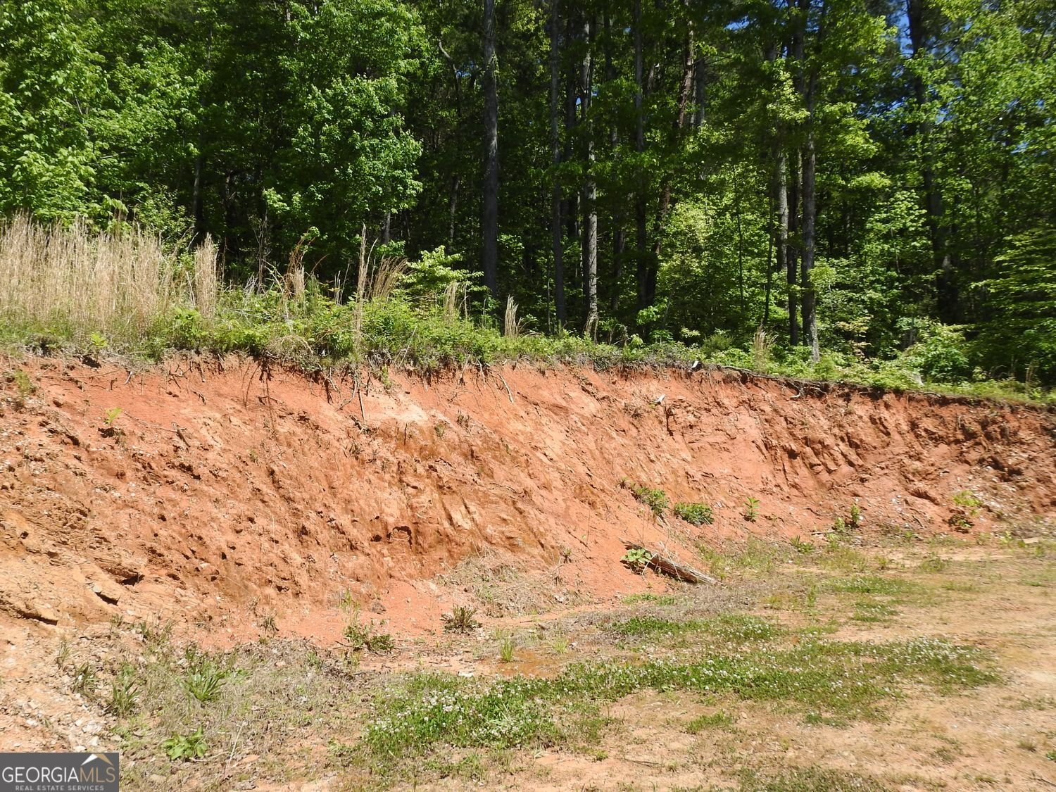 9503 Tails Creek Road Ellijay - Photo 49