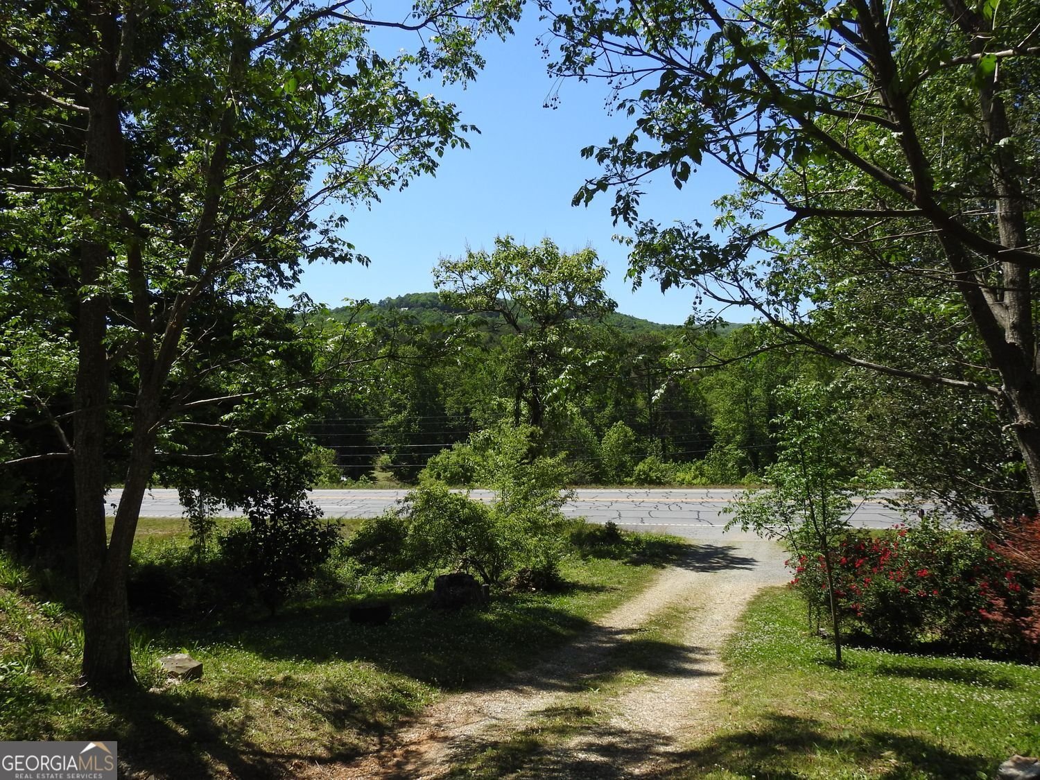 9503 Tails Creek Road Ellijay - Photo 50