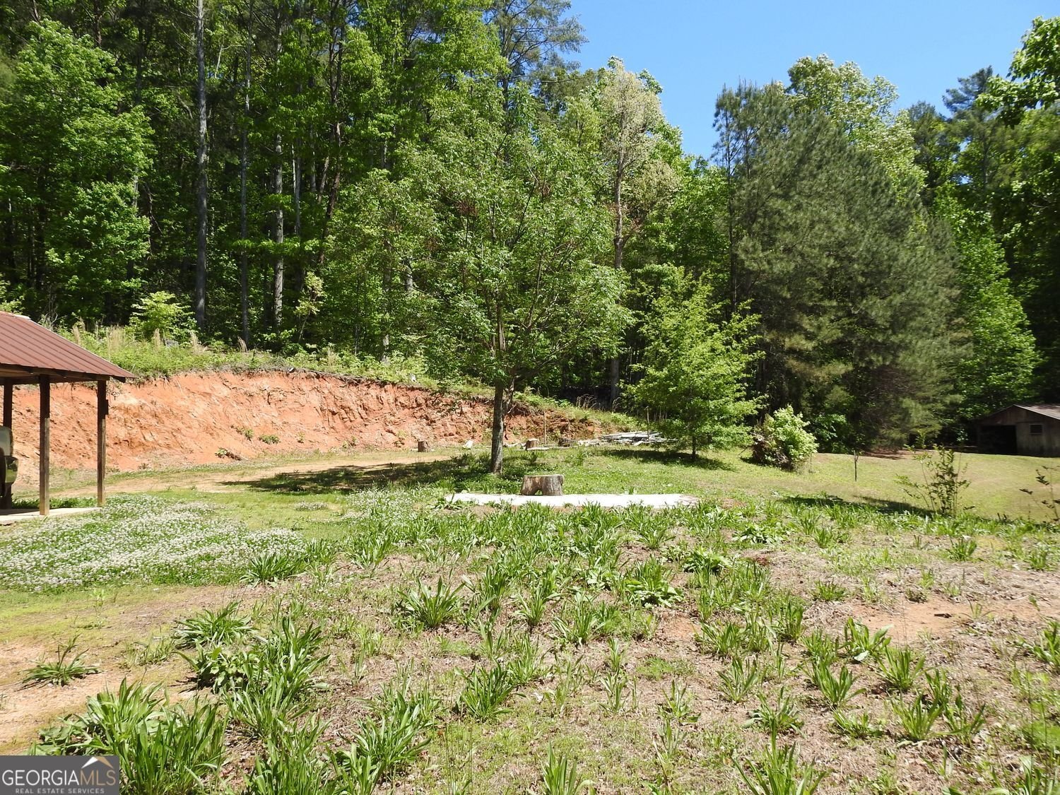 9503 Tails Creek Road Ellijay - Photo 52