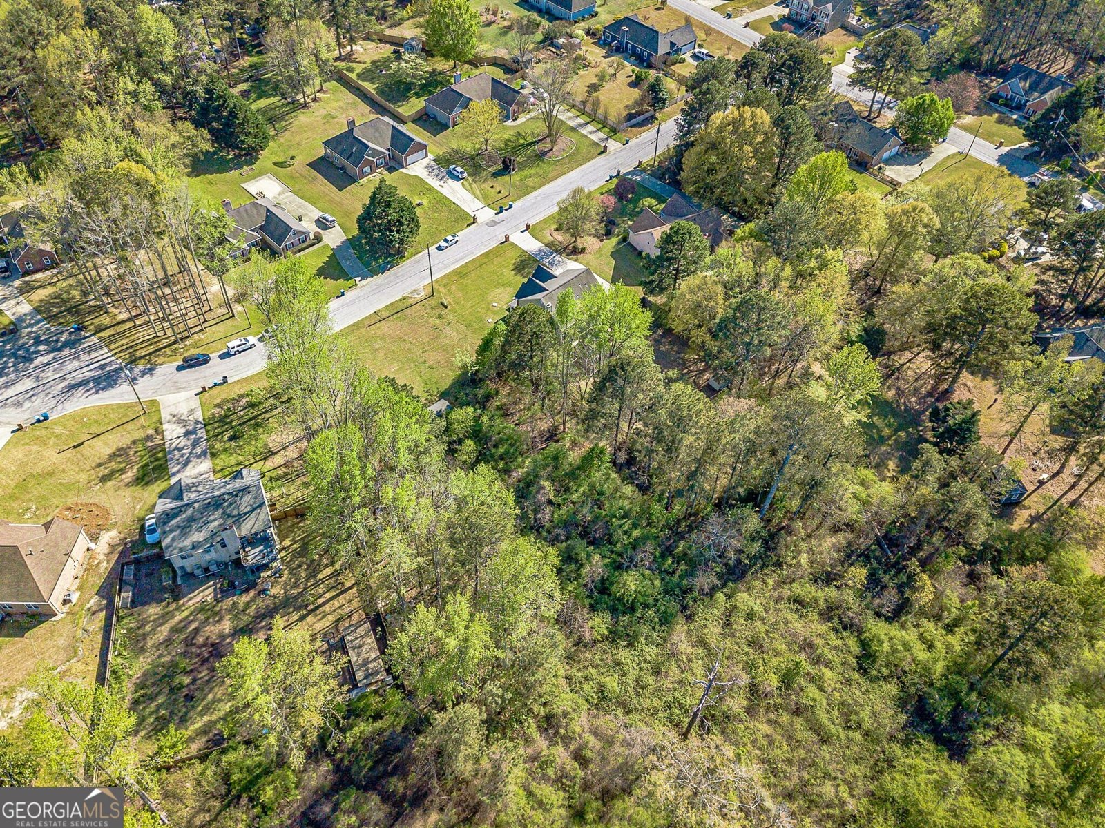 247 Garden Walk Way Loganville - Photo 61