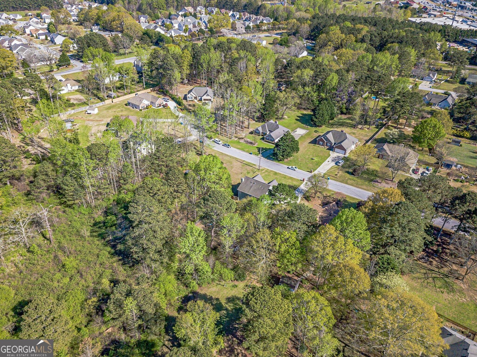 247 Garden Walk Way Loganville - Photo 64