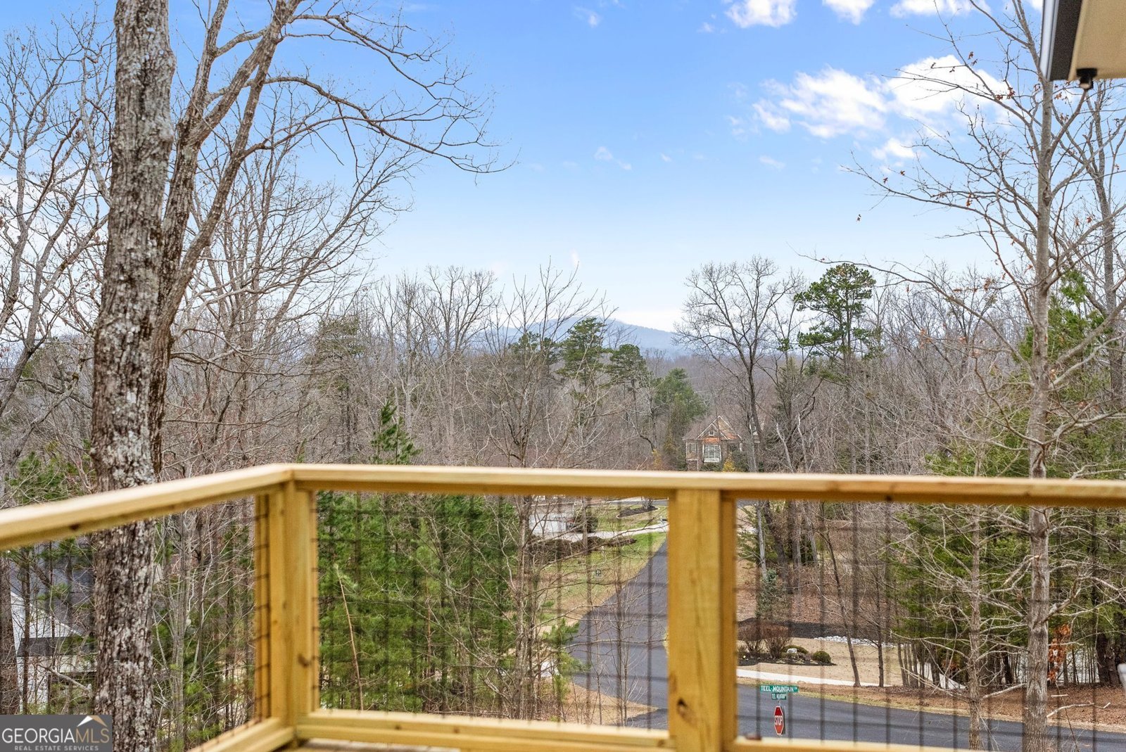 24 Teel Mountain Drive Cleveland - Photo 23
