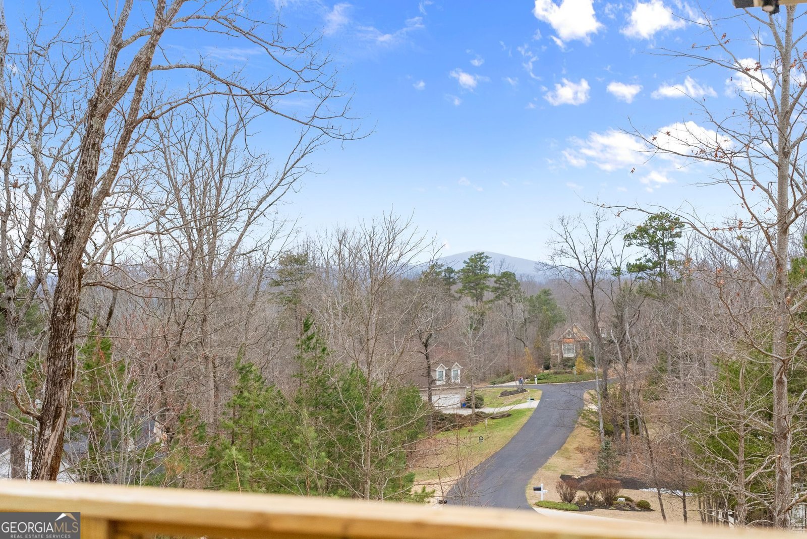 24 Teel Mountain Drive Cleveland - Photo 24