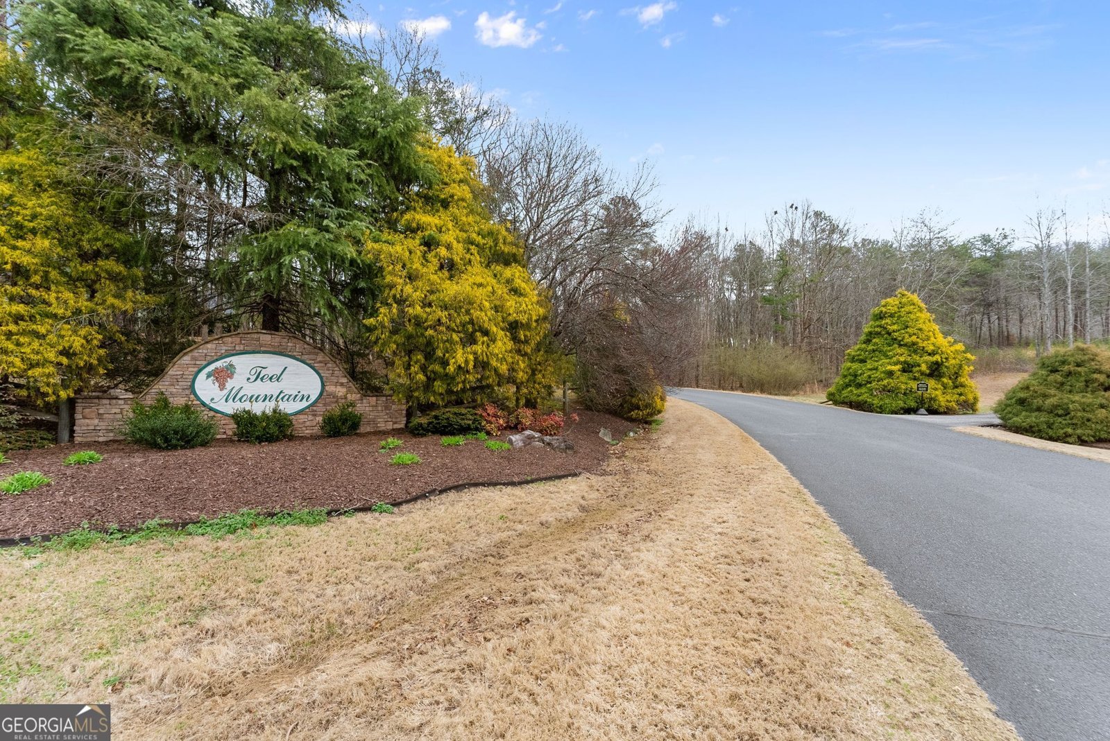 24 Teel Mountain Drive Cleveland - Photo 52