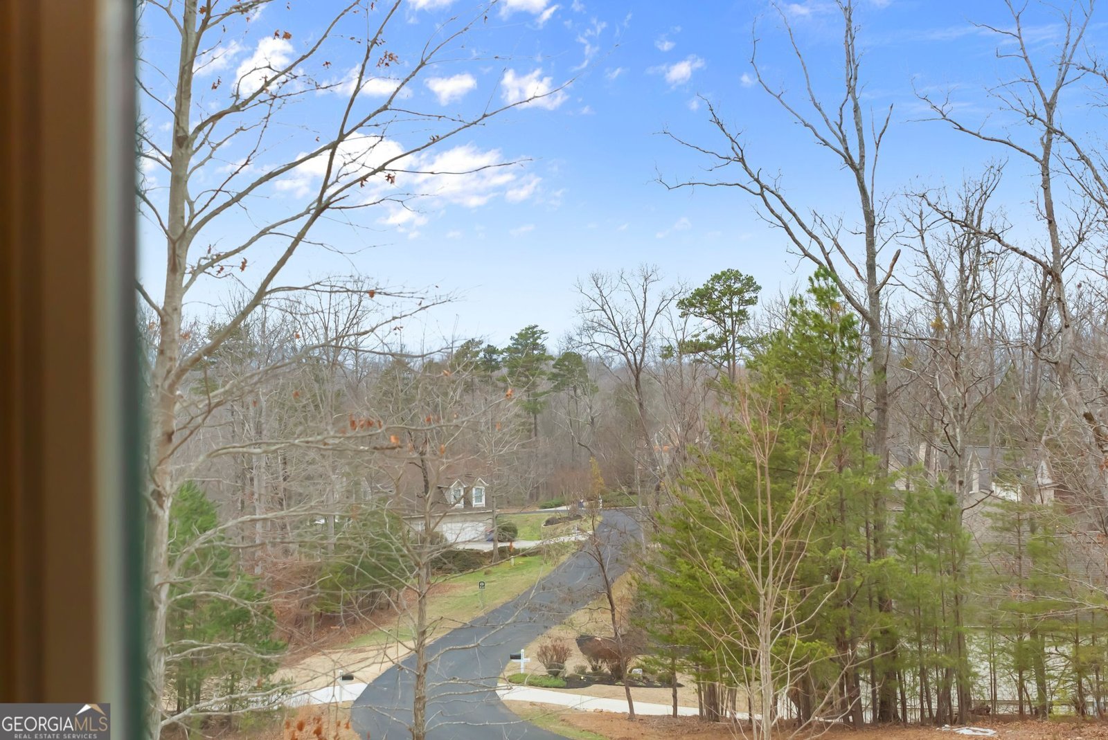 24 Teel Mountain Drive Cleveland - Photo 55