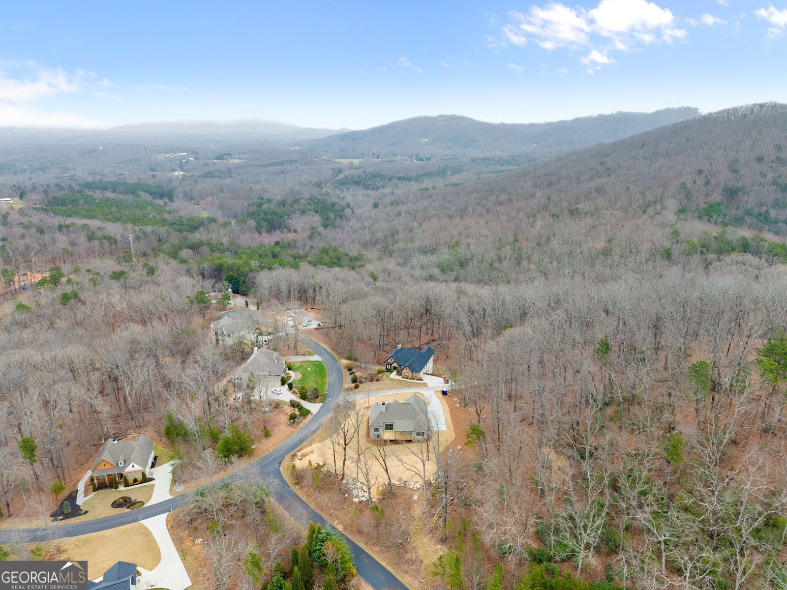 24 Teel Mountain Drive Cleveland - Photo 60