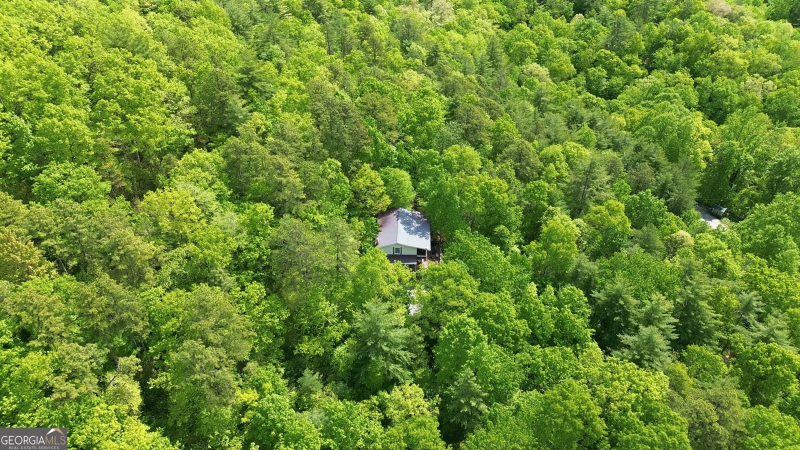 325 Kitchins Lane Clayton - Photo 47