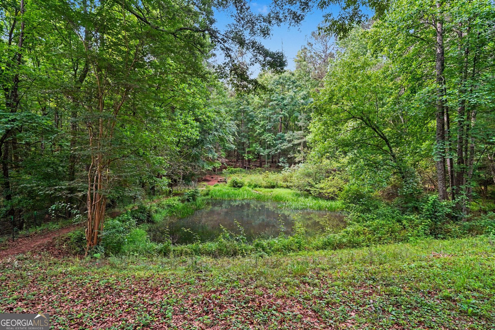3184 Klondike Road Conyers - Photo 35