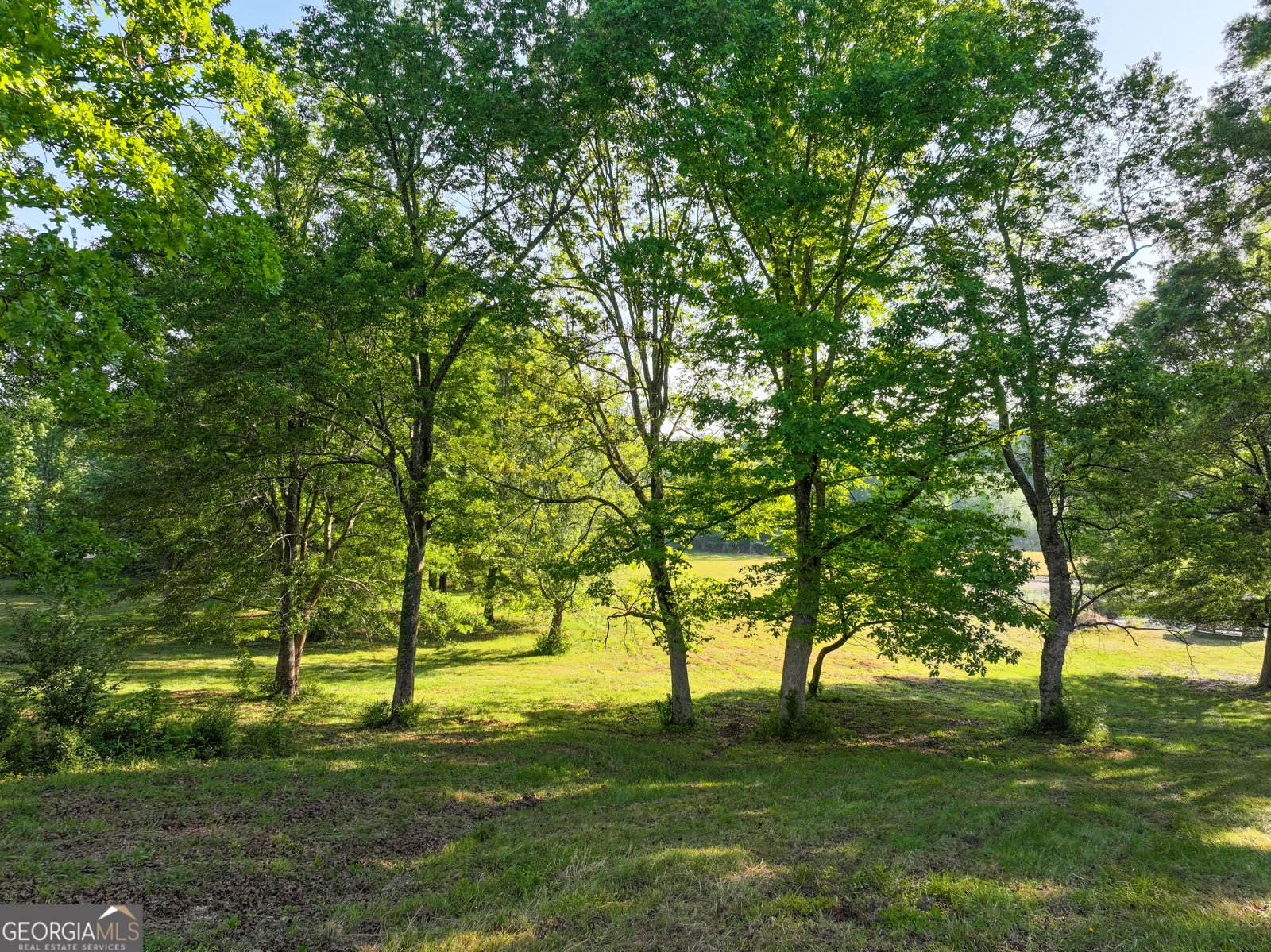 360 Parrish Road Cedartown - Photo 10