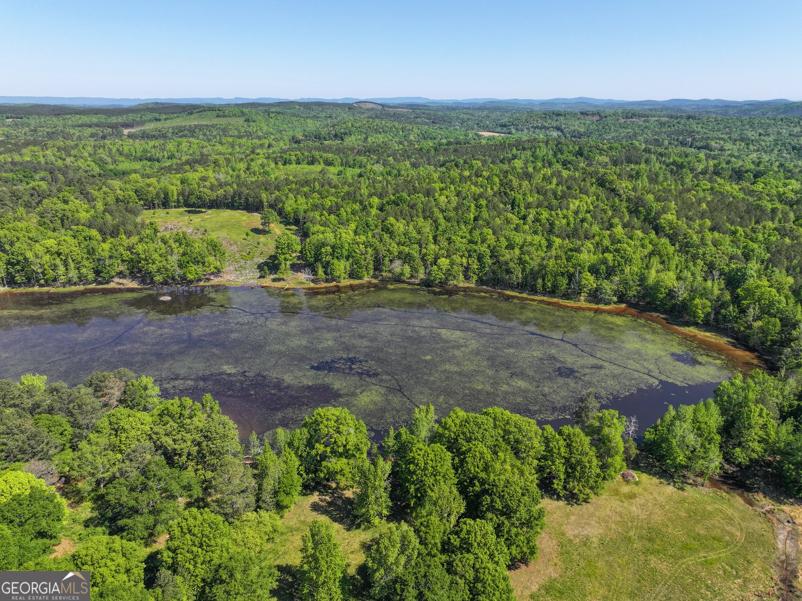 360 Parrish Road Cedartown - Photo 42