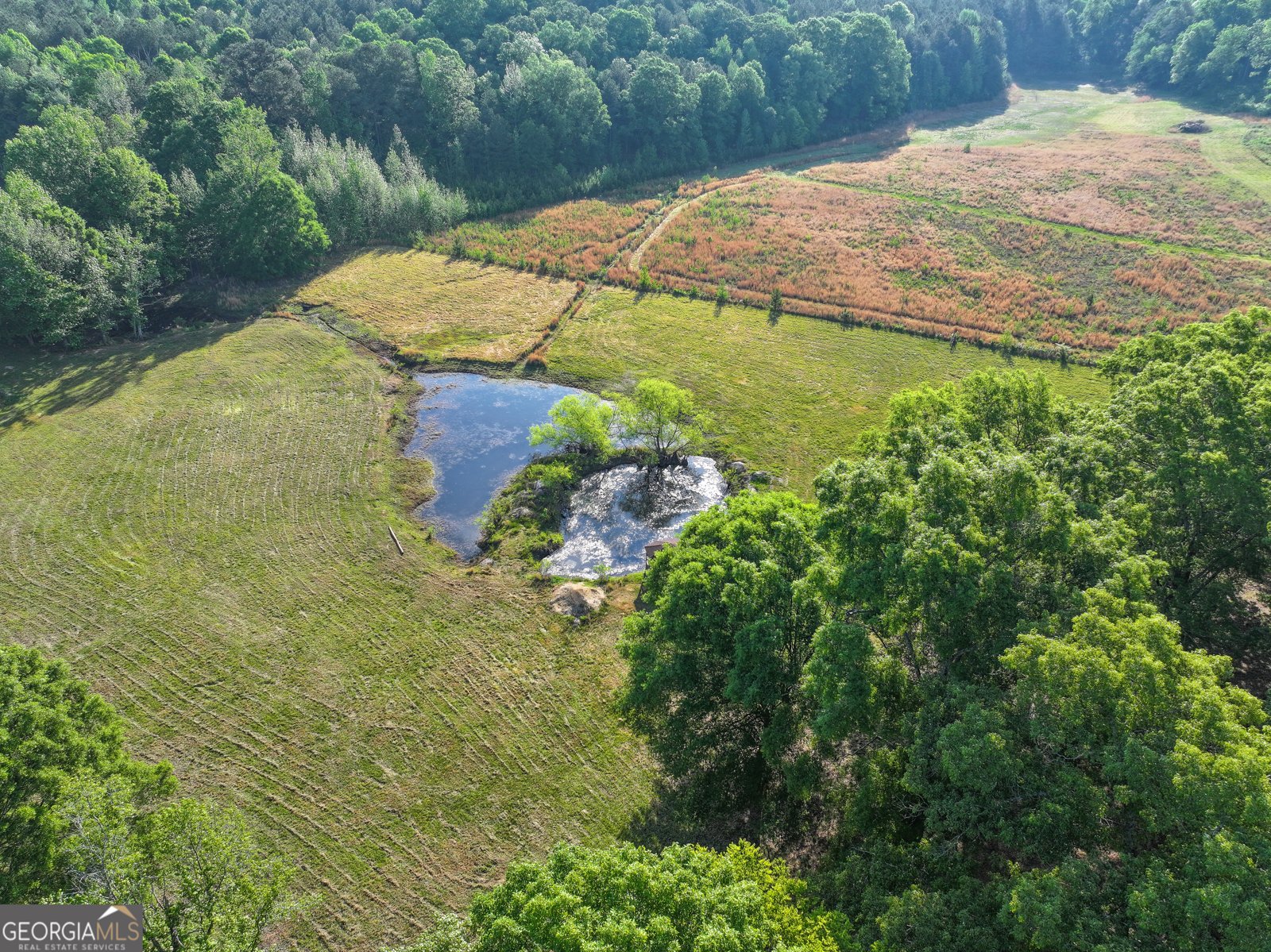 360 Parrish Road Cedartown - Photo 44