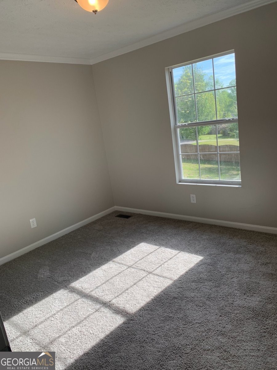 138 Dawson Trace Dawsonville - Photo 16