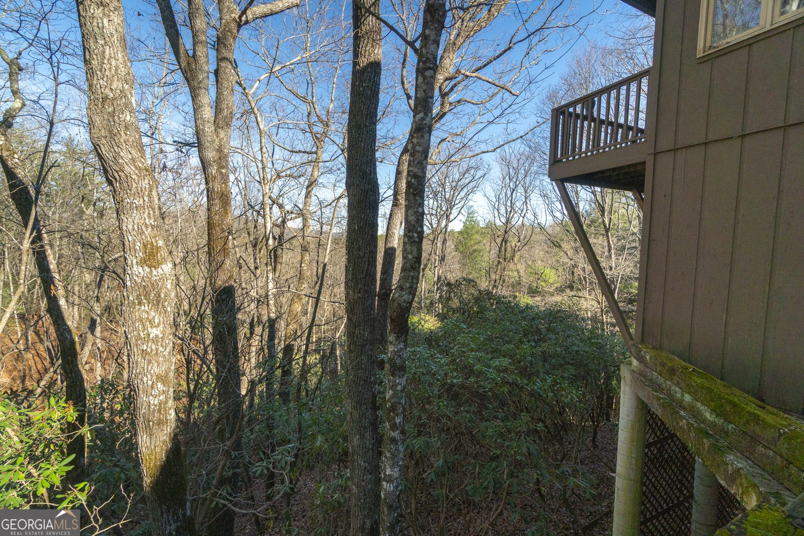 722 Woodbrier Sautee Nacoochee - Photo 112