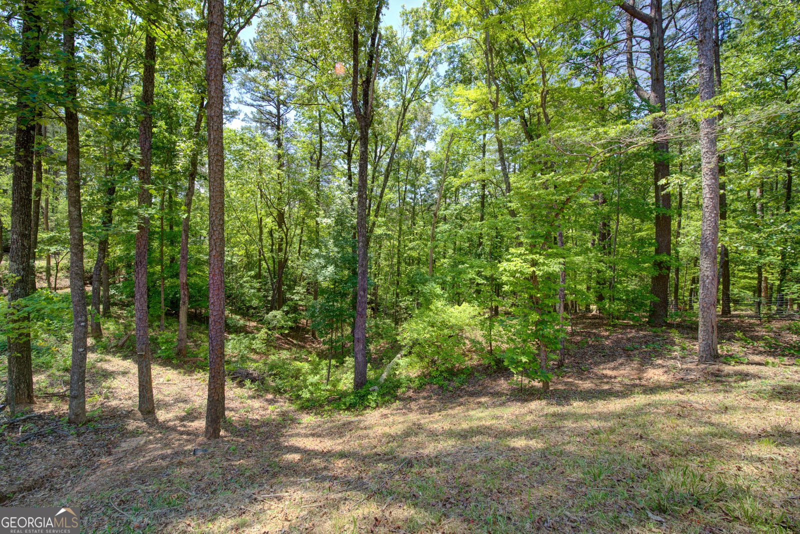 2182 Ben Higgins Road Dahlonega - Photo 23