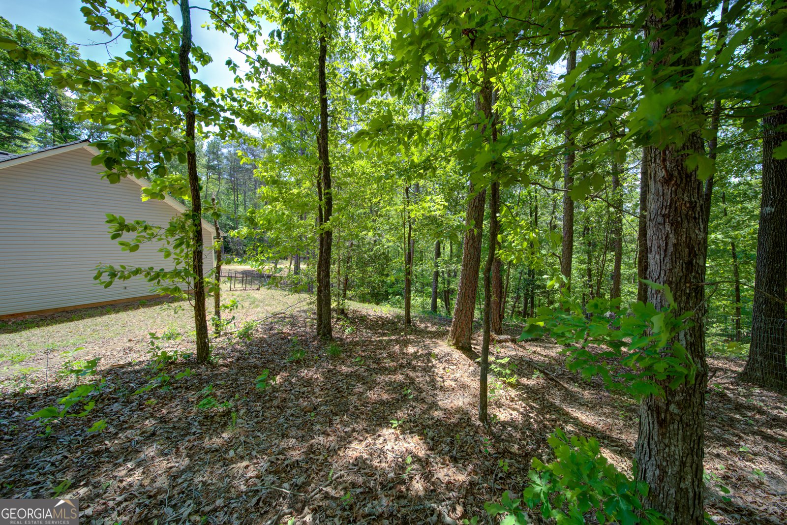2182 Ben Higgins Road Dahlonega - Photo 24