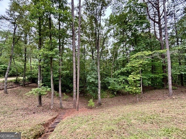 2182 Ben Higgins Road Dahlonega - Photo 27