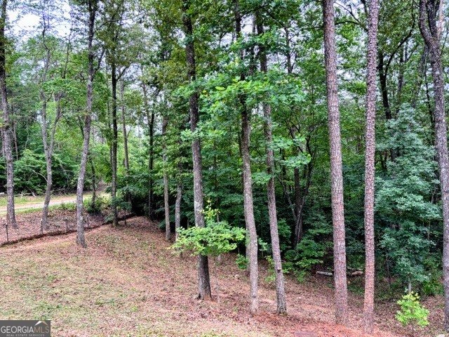 2182 Ben Higgins Road Dahlonega - Photo 29