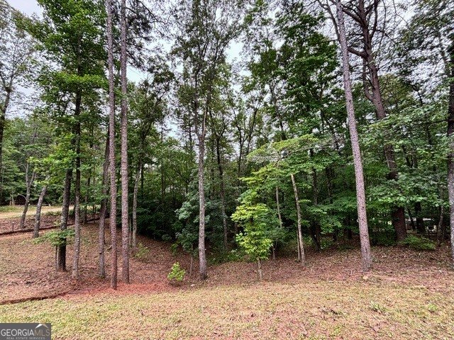 2182 Ben Higgins Road Dahlonega - Photo 30
