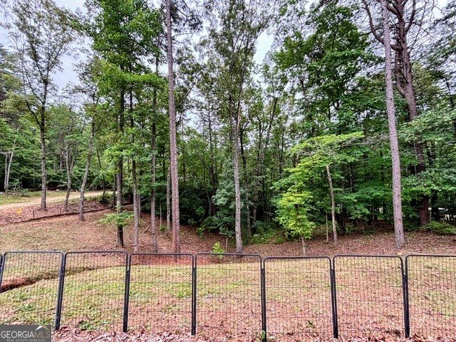 2182 Ben Higgins Road Dahlonega - Photo 31