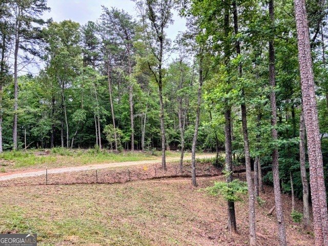 2182 Ben Higgins Road Dahlonega - Photo 32
