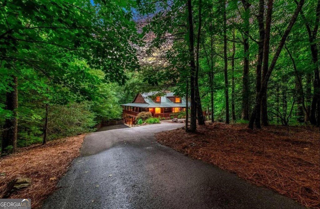 390 Twin Creeks Blue Ridge - Photo 41