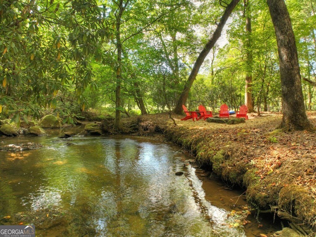 390 Twin Creeks Blue Ridge - Photo 46