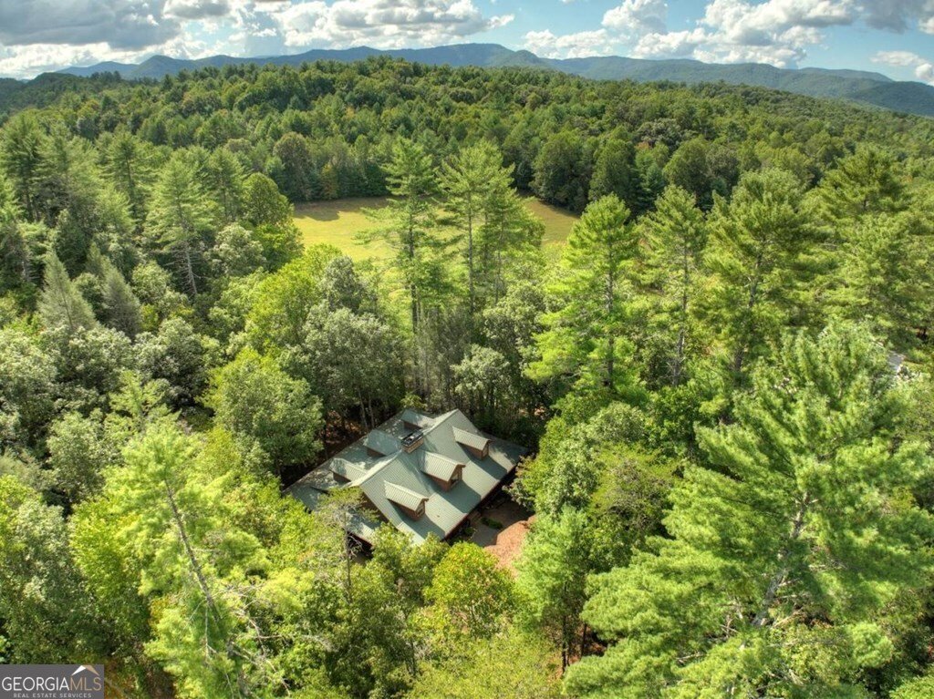 390 Twin Creeks Blue Ridge - Photo 56