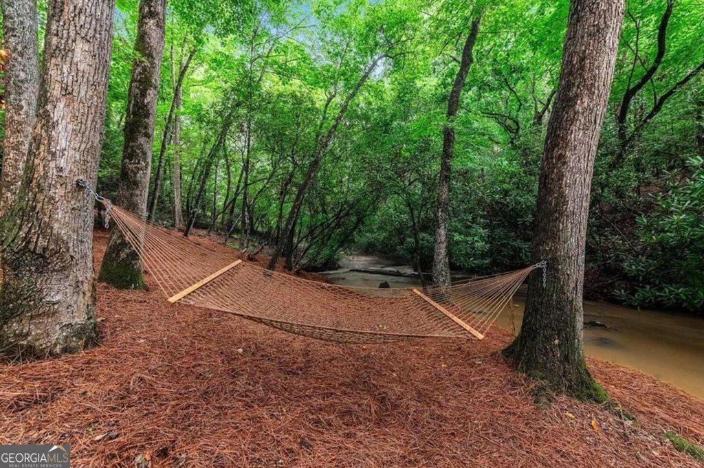 390 Twin Creeks Blue Ridge - Photo 57