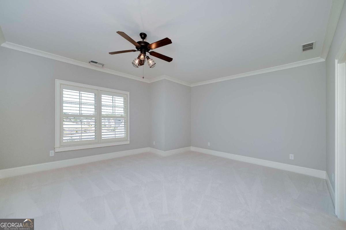 4685 Palmetto Lane Cumming - Photo 36