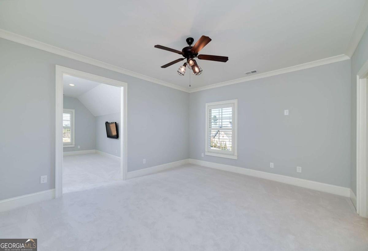 4685 Palmetto Lane Cumming - Photo 38