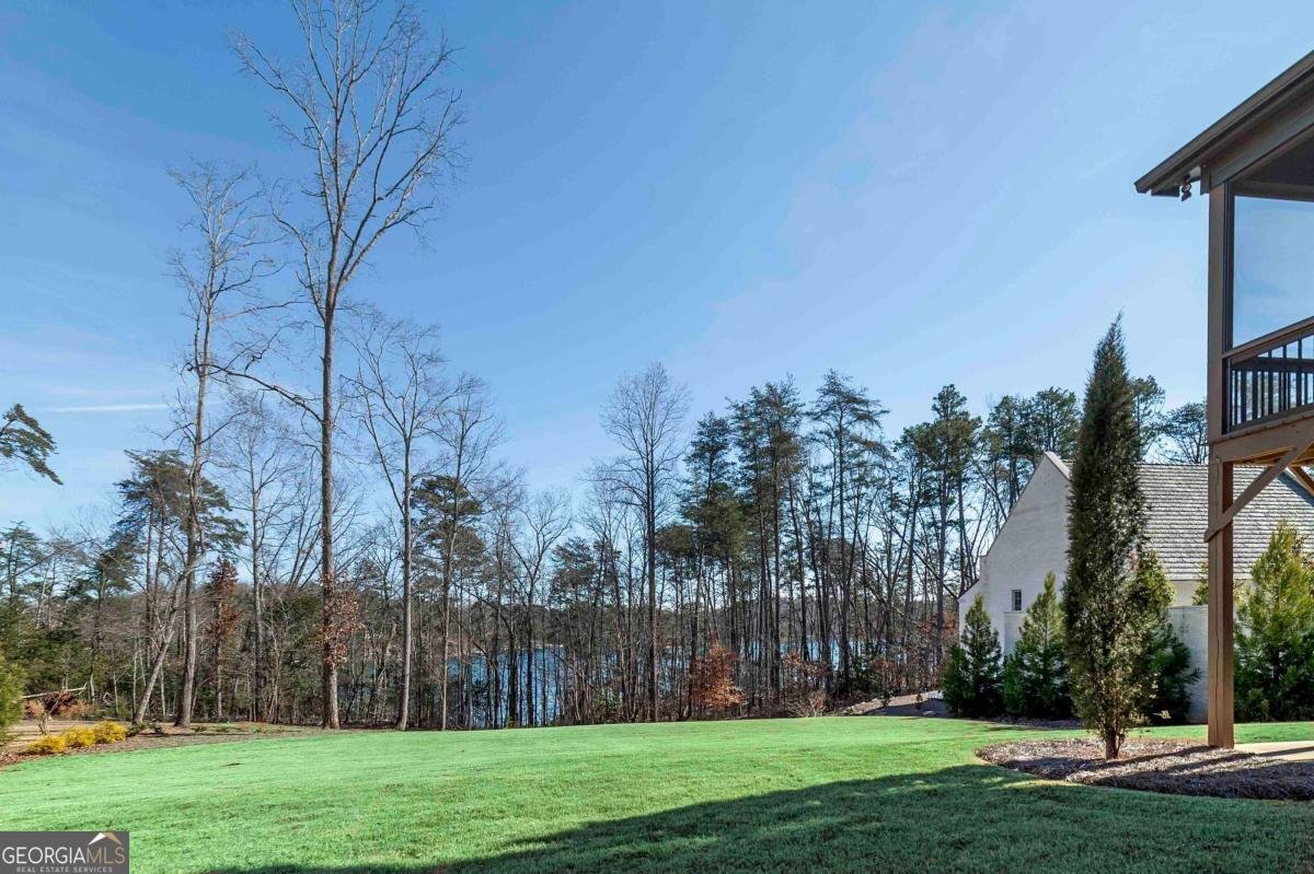 4685 Palmetto Lane Cumming - Photo 51