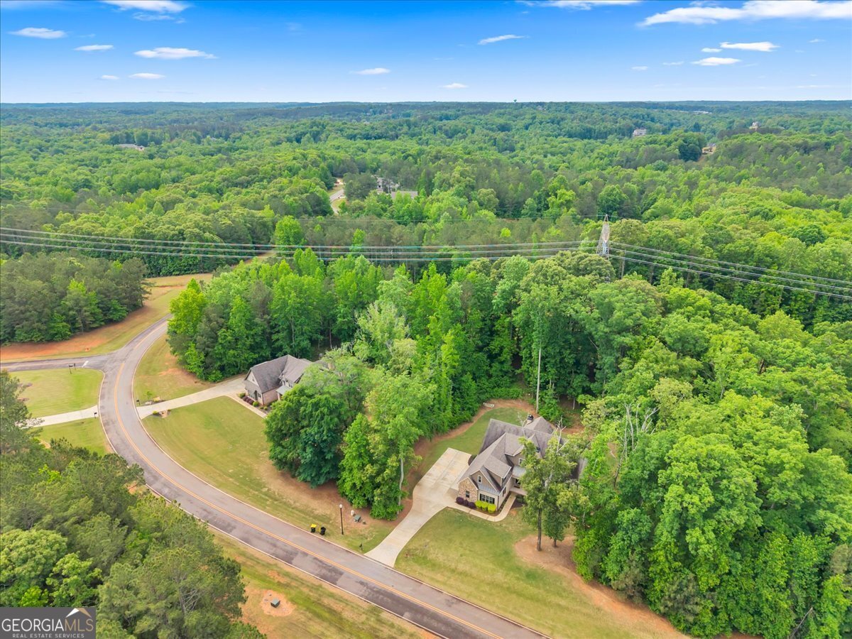 103 Heights Avenue Forsyth - Photo 52