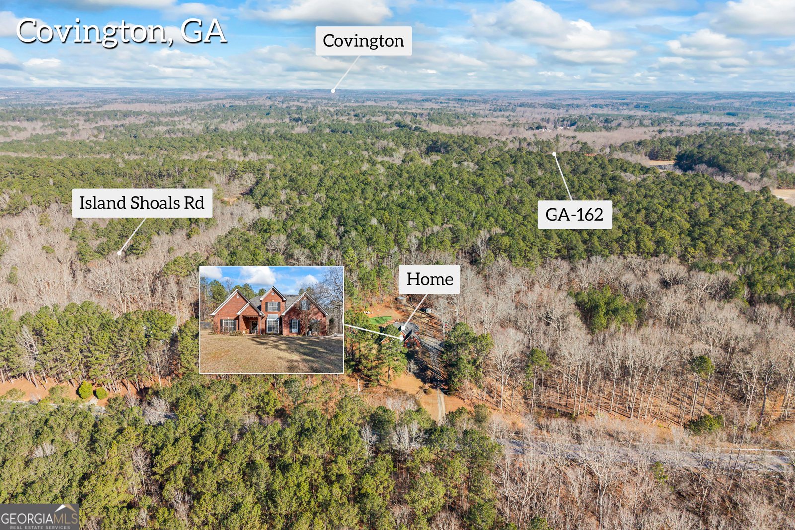 2498 Highway 212 Covington - Photo 62