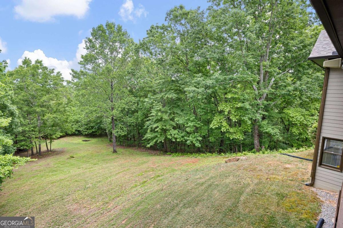 101 Sunset Drive Cartersville - Photo 14