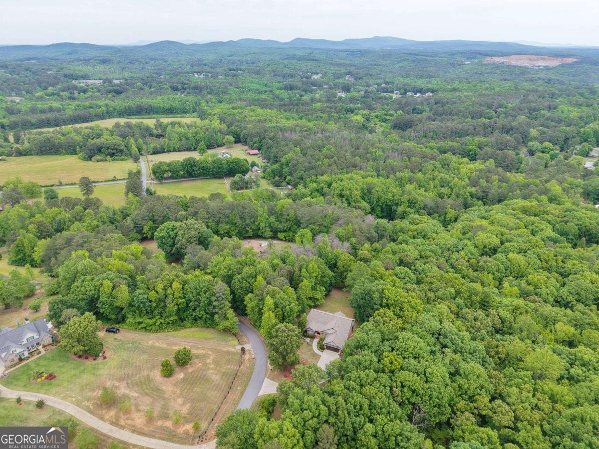101 Sunset Drive Cartersville - Photo 59