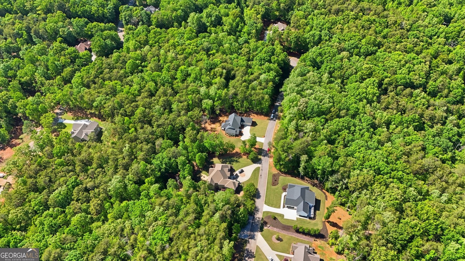 316 Glazenwood Drive Clarkesville - Photo 6