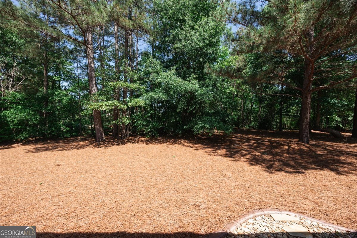 105 Freedom Drive Forsyth - Photo 43