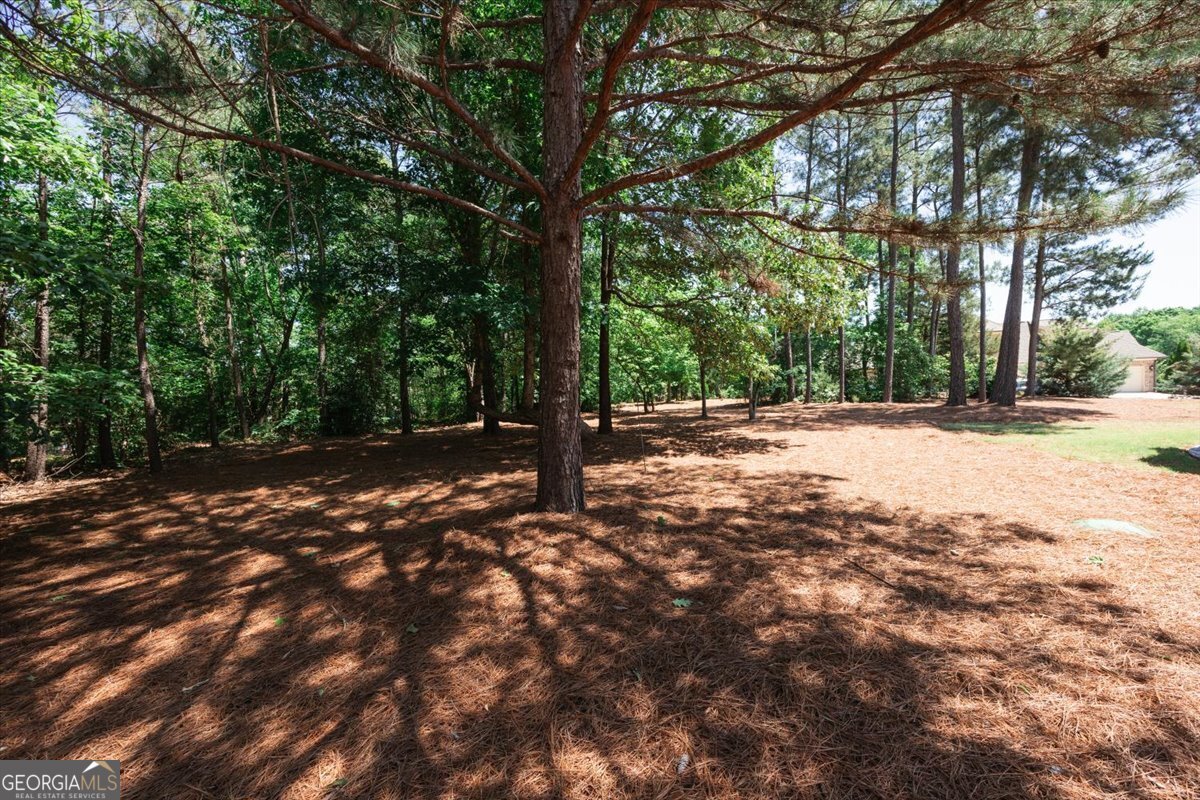 105 Freedom Drive Forsyth - Photo 44