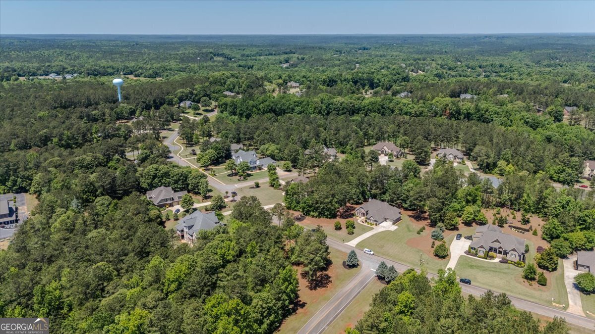 105 Freedom Drive Forsyth - Photo 62