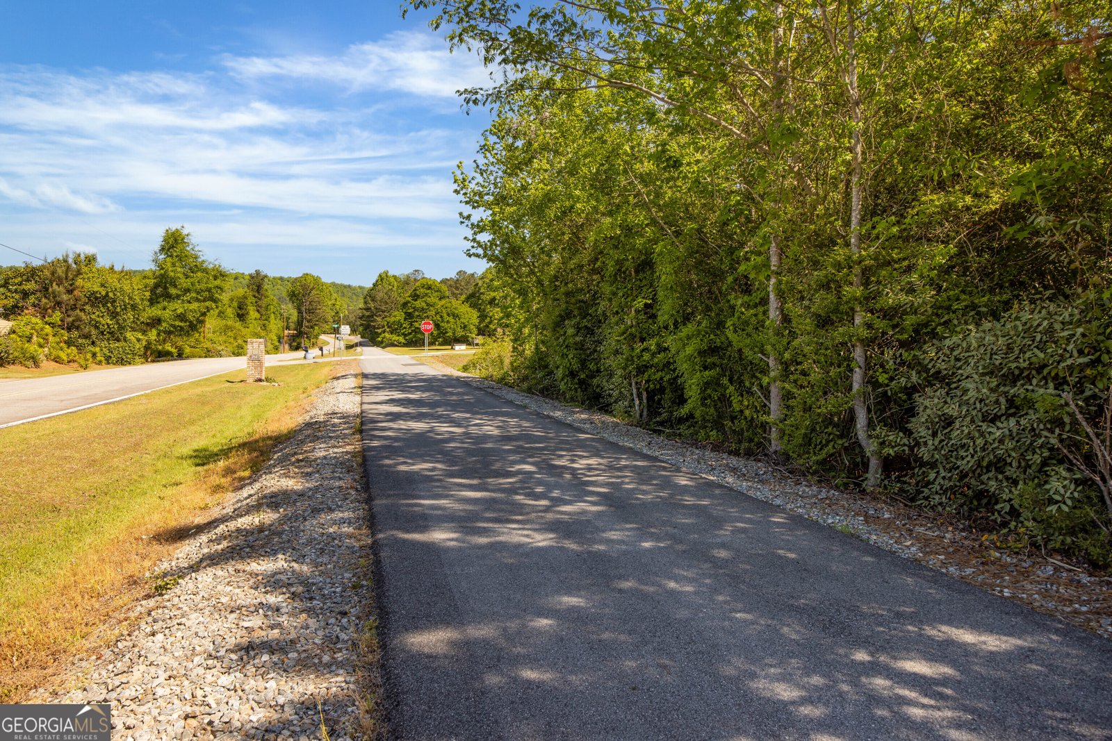 745 Mountain View Road Hamilton - Photo 46