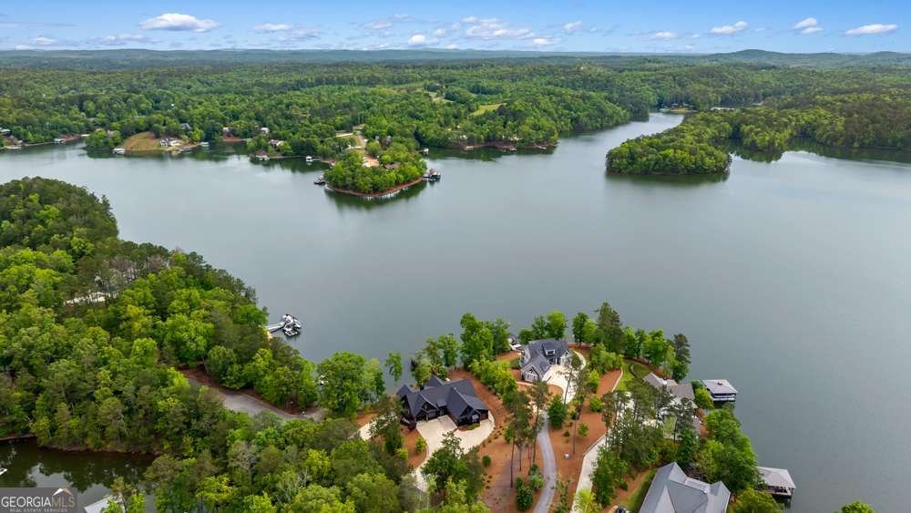 796 Creek Trail Wedowee - Photo 93