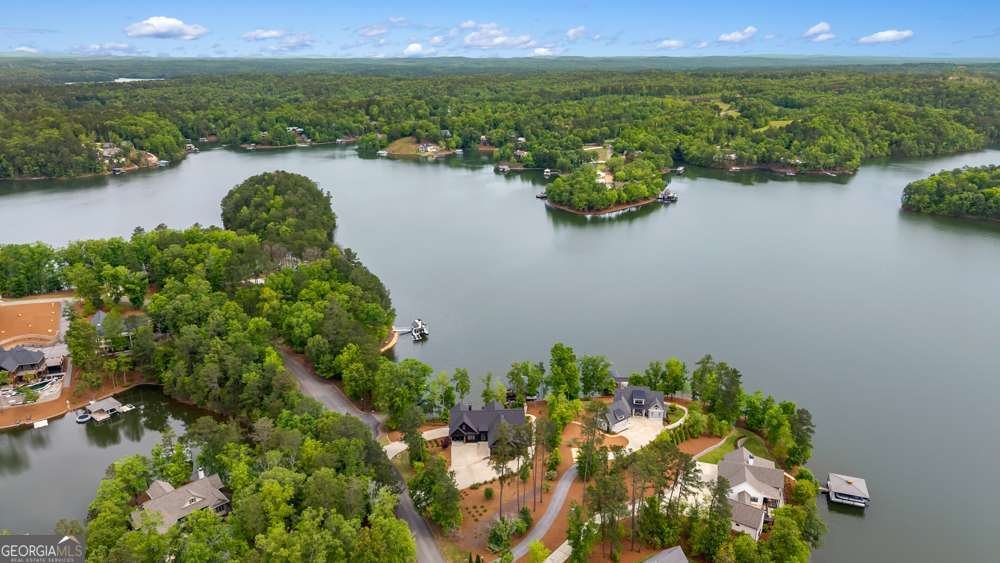 796 Creek Trail Wedowee - Photo 94