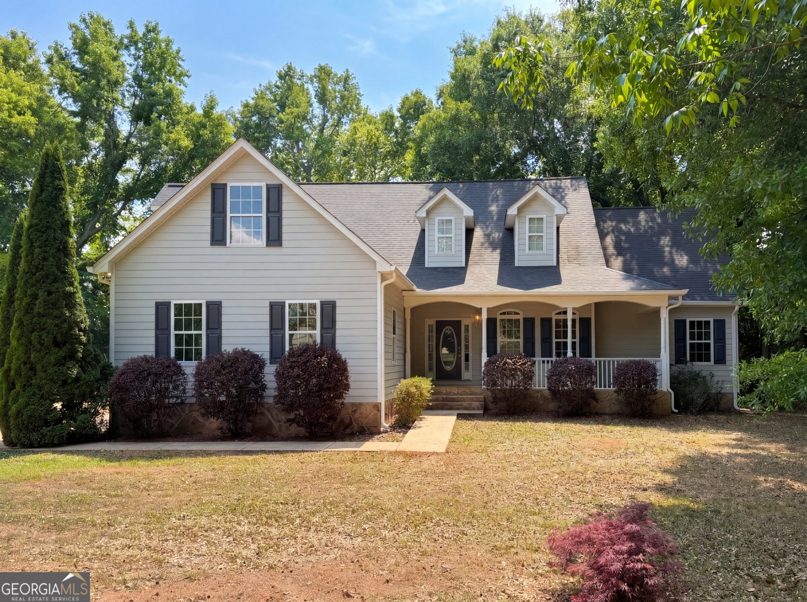 141 Lake Chase Drive Griffin - Photo 1